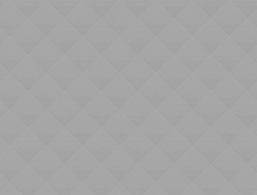 The Ultimate Guide to New York’s Favorite Food